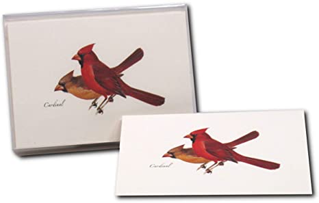 Earth Sky   Water - Cardinal Notecard Set - 8 Blank Cards with Envelopes
