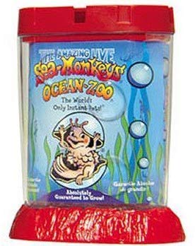 Schylling Sea Monkeys Ocean Zoo Colors May Vary by Schylling