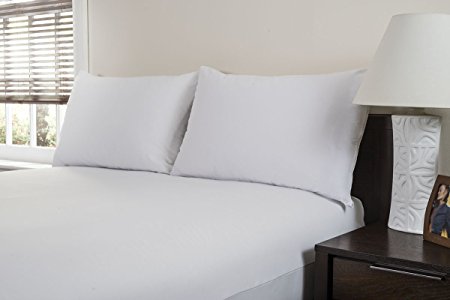 Guardmax - Bedbug Proof/Waterproof Pillow Protector - Zippered Style - Set of 2 - Quiet! - Queen (20"x30")