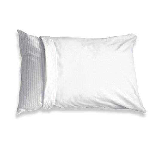 Levinsohn Fresh Ideas 100-Percent Cotton Teflon Coated Stain Resistant Pillow Protector, Standard, 2-Pack