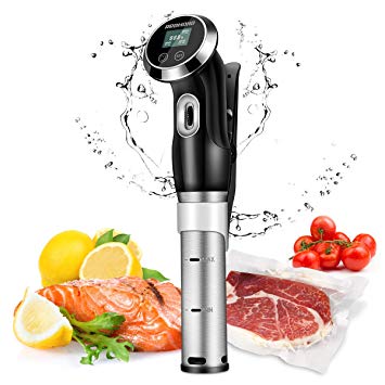 REDMOND Sous Vide Machine,Accurate Immersion Circulator Precision Cooker 1000W, Ultra Quiet Stainless Steel,Free Recipes Included,SV002