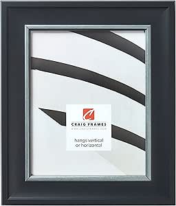 Craig Frames Martin Picture Frame, 14 x 18 Inch, Black Velvet with Silver