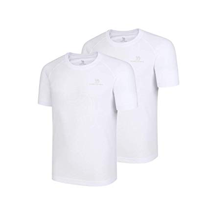 Camel 2 Packs Men Quick Dry T-Shirt Short Sleeves Moisture Wicking Tees Package Breathable Crewneck Shirts Packs for Running