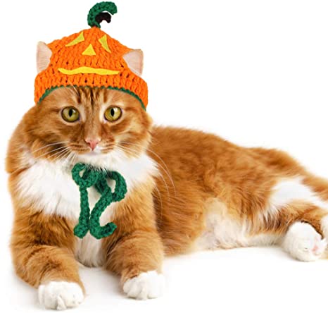 Legendog Cat Halloween Costume Handmade Pet Pumpkin Hat Halloween Apparel for Cats Puppy Small Dogs