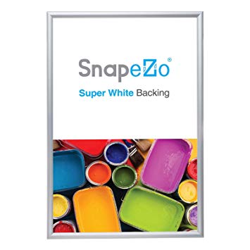 SnapeZo Silver Poster Frame A1 Inches, 1.2" Aluminum Profile, Front-Loading Snap Frame, Wall Mounting, Premium Series