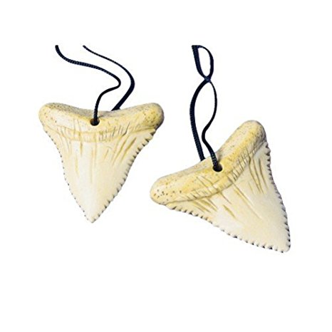 Shark Tooth Necklaces (1 Dozen)