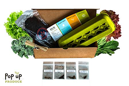 All in One - Organic Vegetable Home Garden Container, Compost and Seed Starter Kit
