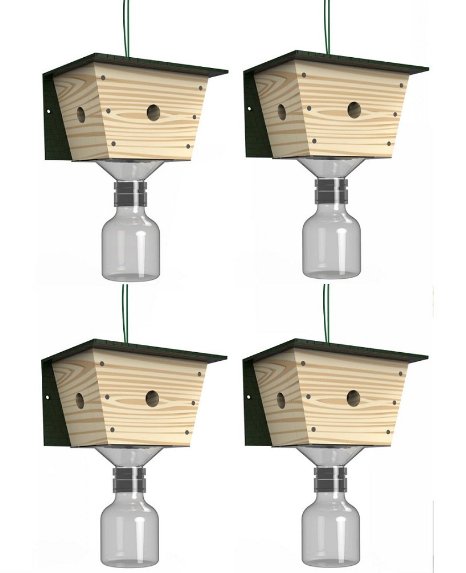 Best Bee Trap Carpenter Bee Trap - 4 pack