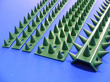 Fence Wall Spikes: Pack of 10 (4.5M to 13.5M) – GREEN
