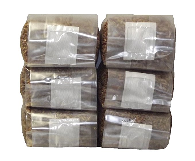 Six 1 Pound Bags of Sterilized Rye Berries Substrate in Mushroom Grow Bags