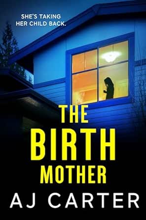 The Birth Mother (Standalone Psychological Thrillers)