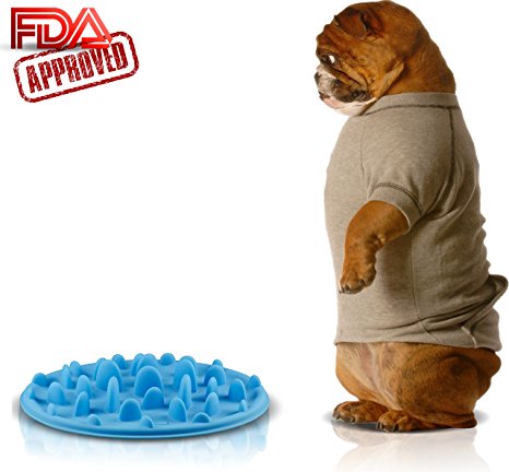 Slow Feed Dog Bowl - FDA Approved Bloat Remedy will Guarantee Slower Feeding time - Great for Cats