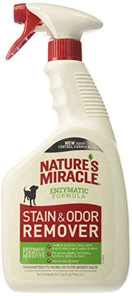 Nature's Miracle Stain and Odor Remover