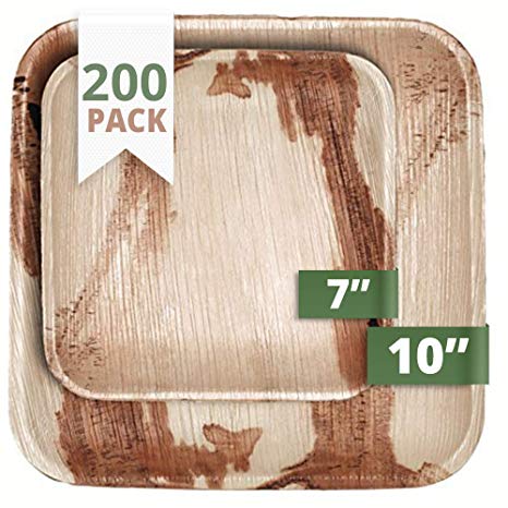 CaterEco Square Palm Leaf Plates Set | Pack of 200 - (100) Dinner Plates and (100) Salad Plates | Ecofriendly Disposable Dinnerware | Heavy Duty Biodegradable Party Utensils for Wedding, Camping & More