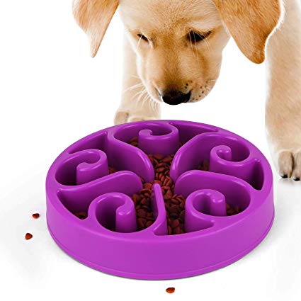 JASGOOD Slow Feeder Dog Bowl New Arriving Fun Feeder Slow Feeding Interactive Bloat Stop Dog Bowls