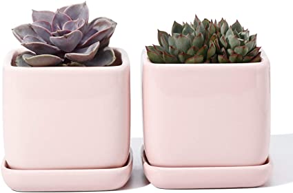 POTEY 051103 Succulent Pot with Drainage Hole & Saucer - 3.5 Inch Glazed Ceramic Square Small Planters Indoor for Plants Cactus Succulent(Shiny Pink, Set of 2, Plants NOT Included)