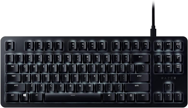 Razer BlackWidow Lite TKL Tenkeyless Mechanical Keyboard : Orange Key Switches - Tactile & Silent - White Individual Key Lighting - Compact Design - Detachable Cable - Classic Black