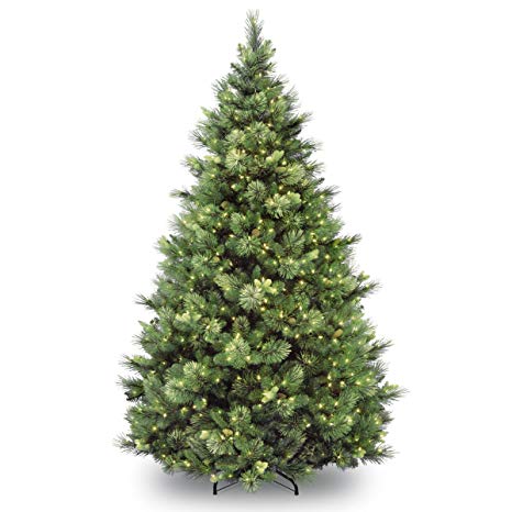 National Tree 9 Foot Carolina Pine Tree with 900 Clear Lights, Hinged (CAP3-306-90)