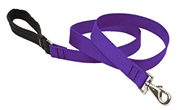 LupinePet Basics 1" Purple Leashes for Medium and Larger Dogs