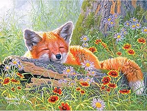 RoseArt - Abraham Hunter - Summer Dreams - 300 XL Pieces Jigsaw Puzzle for Adults