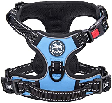 PoyPet No Pull Dog Harness, No Choke Dog Reflective Harness, Adjustable Soft Padded Pet Vest with Easy Control Handle 3 Snap Buckles (Light Blue,L)