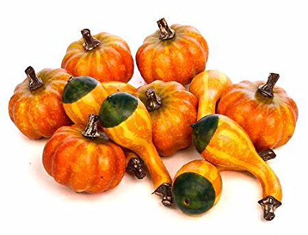 Assorted Artificial Autumn Mini Gourds and Mini Pumpkins -12 Pieces