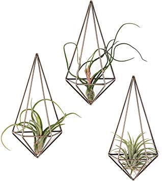 Mkono Wall Mounted Air Plant Holder Modern Geometric Planter Hanging Tillandisia Container Himmeli Home Decor, Bronze, 3 Packs