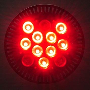 LEDwholesalers 1325RB 12 Watt PAR38 Blue/Red LED High Power Grow Light Bulb With Remote Control