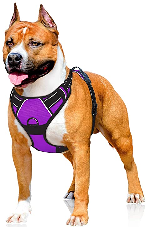 IPETSZOO Dog Harness No-Pull Pet Harness Adjustable Outdoor Pet Vest 3M Reflective Oxford Material Vest for Dogs Easy Control for Small Medium Large Dogs