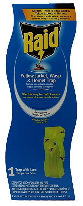 Raid Wasp and Yellow Jacket Swing Trap