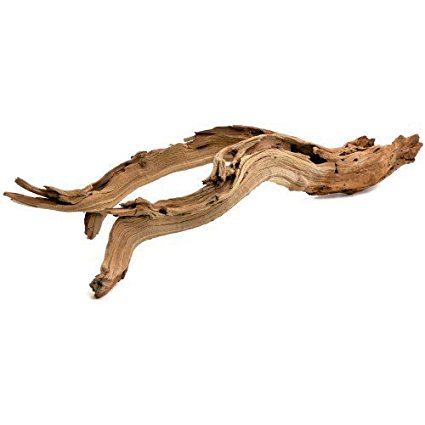 Koyal California Driftwood with Natural Brown Branches, 18-Inch