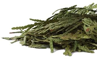 Bulk Herbs: Cedar Tips (Wild Harvested)