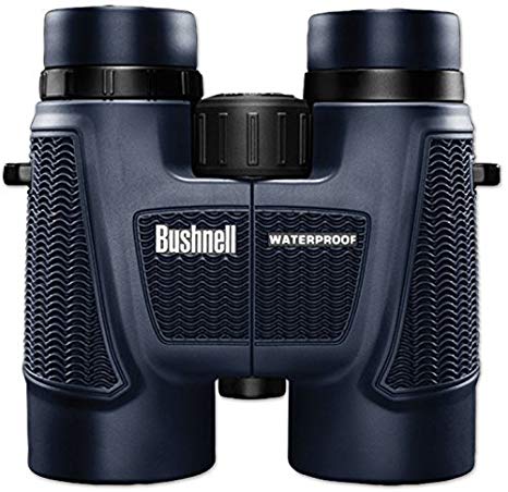 Bushnell H2O Waterproof/Fogproof Roof Prism Binocular, 10 x 42-mm, Black (Renewed)
