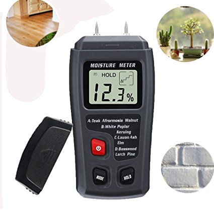 Digital Moisture Meter, Liumy ± 0.5% Accuracy Wood Detector Moisture Meter / 2 Pins / 4 Types of Wood Species / LCD Display Moisture Sensor Detector (ABS plastic)