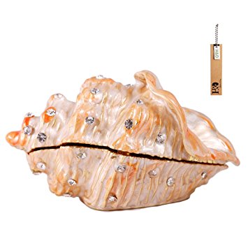 H&D Metal Glass Small Seashell Figurine Collectible Ring Jewelry Holder Trinket Box(conch)