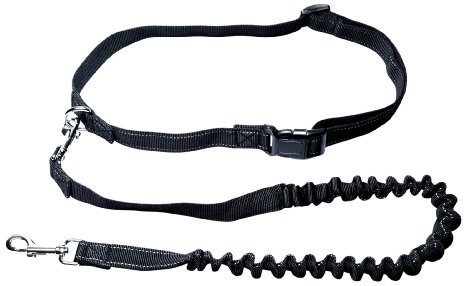 Hands Free Leash for Dogs - Premier Reflective Dog Running Leash - Flexible, Durable Bungee to Absorb Force - Black
