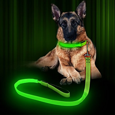 BSeen LED Dog Leash - USB Rechargeable 47.2 inch Reflective Night Safety Pet Leash LED Strip to Keep You and Your Dog Safe