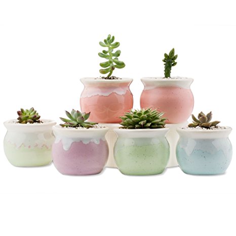 Mkono Set of 6 Ceramic Succulents Pots Small Plants Planters for Indoor Planting, 2 1/2 Inches