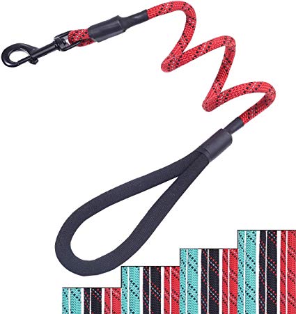 Vivaglory Strong Dog Leashes with The Most Comfortable Padded Handle, Reflective Climbing Rope Leashes Leads for Medium Large Dogs for Safety Training Walking