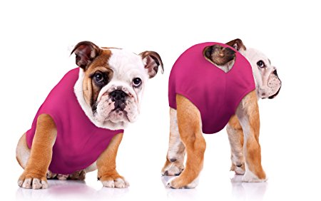 Surgi Snuggly E Collar Alternative With Antimicrobial, Protects Your Pet's Wounds And Bandages, Aids Hot Spots, and Provides Anti Anxiety Relief Made In America