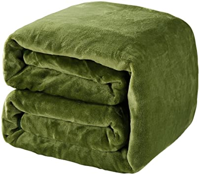 BALICHUN Soft Fleece Queen Blanket Winter Warm Brushed Flannel Blankets All Season Lightweight Thermal Throw for Bed, Sofa or Couch (Green, Queen)