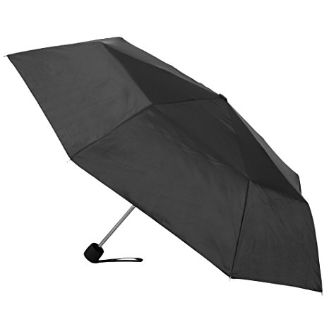 Raines Manual Fold Umbrella, 42-inch Canopy Coverage, with Carrying Strap