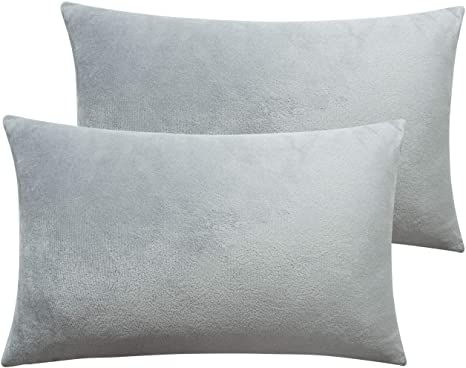 NTBAY Zippered Velvet Queen Pillowcases, 2 Pack Super Soft and Cozy Luxury Solid Color Pillow Cases, 20 x 30 Inches, Light Grey