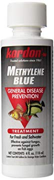 Kordon Methylene Blue-General Disease Prevention Treatment for Aquarium
