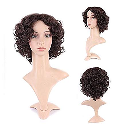 Curly Synthetic Wig Brown Short Hair 20 Styles Fluffy Heat Resistant Wig for Women Girls Lady,10'' / 10 inch #2 Dark brown