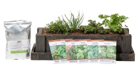 High Quality Herb Garden Cedar Planter - Complete Herb Garden Kit - Indoor Garden Seeds Growing Kit - Grow Cooking Herbs Basil, Chives, Oregano, Parsley, Thyme & Cilantro - Choice of 2 Colors