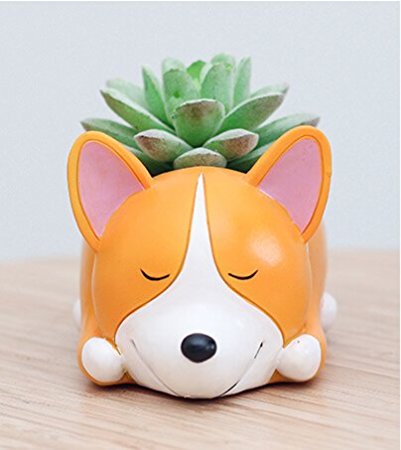 Cuteforyou Cute Animal Shaped Cartoon Home Decoration Succulent Vase Flower Pots (Corgi Dog (Style C))