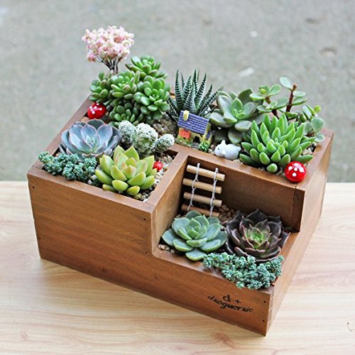 Chris-Wang Multifunctional 3-Compartment Wooden Desktop Office Supply Caddy/Pencil Holder/Desk Mail Organizer/Succulent Plants Planter(Classic Brown)