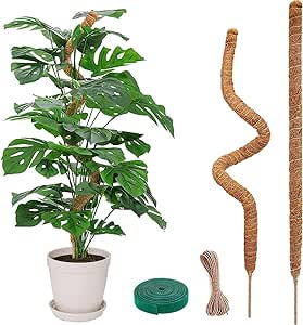 Moss Pole for Plants 2 Pack 25 Inch Plant Support for Climbing Creeper Plants Grow Upwards, Bendable Plant Sticks Support with Garden Jute Rope and Velcro Tape for Monstera and Other Indoor Plants