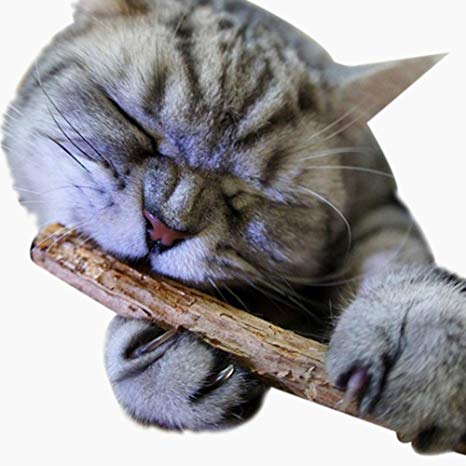 GlobalDeal 2Pcs Sticks Cat Chew Treats, Natural Wood Chewing Tool, Pet Kitten Toy